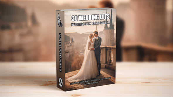 Top 30 Professional Cinematic Wedding Luts For Wedding Filmmakers Part 11 - VideoHive 49749967