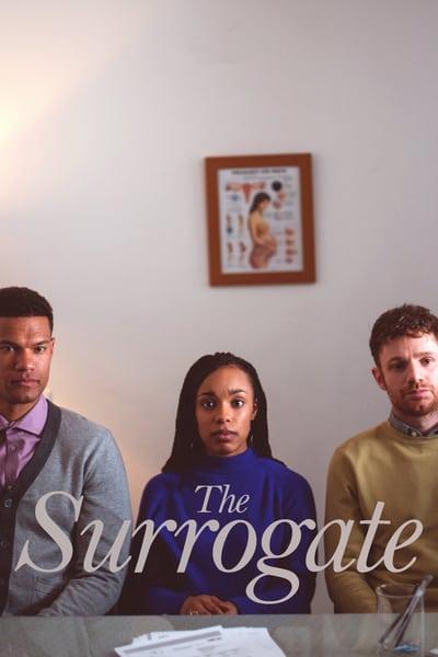 The Surrogate 2020 1080p AMZN WEBRip DDP5 1 x264-PAAI