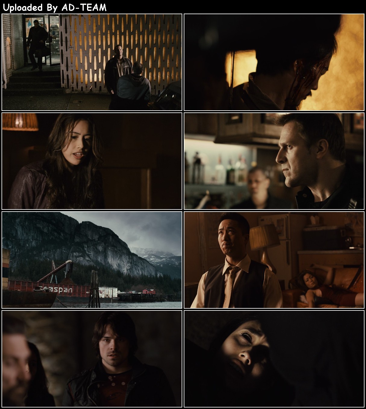 A Dangerous Man 2009 1080p BluRay x265-RARBG KXpovmHa_o