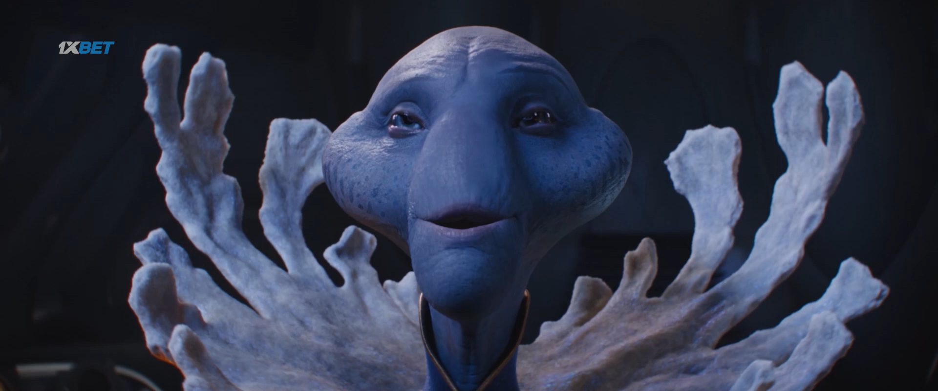 RMfP6gYy_o.png