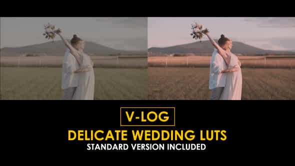 Vlog Delicate Wedding And Standard Luts - VideoHive 51363401