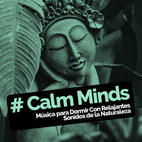Relajacion del Mar - # Calm Minds - 2019