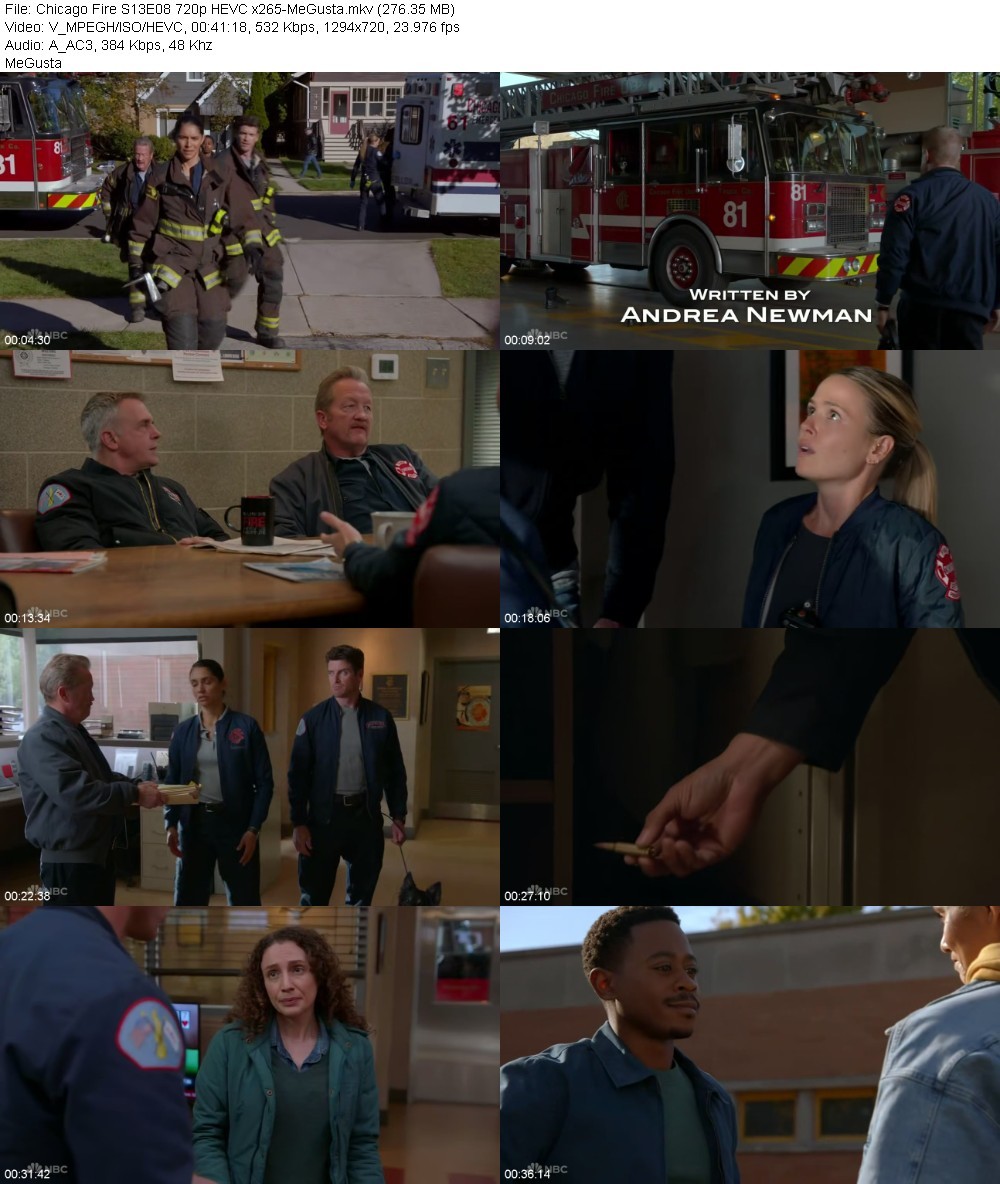 Chicago Fire S13E08 720p HEVC x265-MeGusta