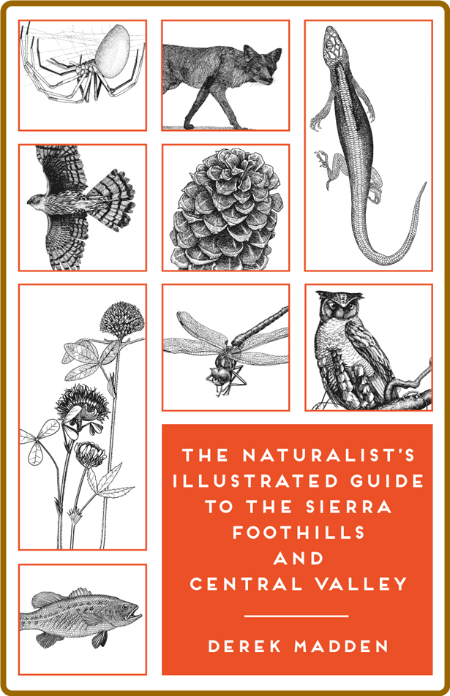 The Naturalist's Illustrated Guide to the Sierra Foothills and Central Valley - De...