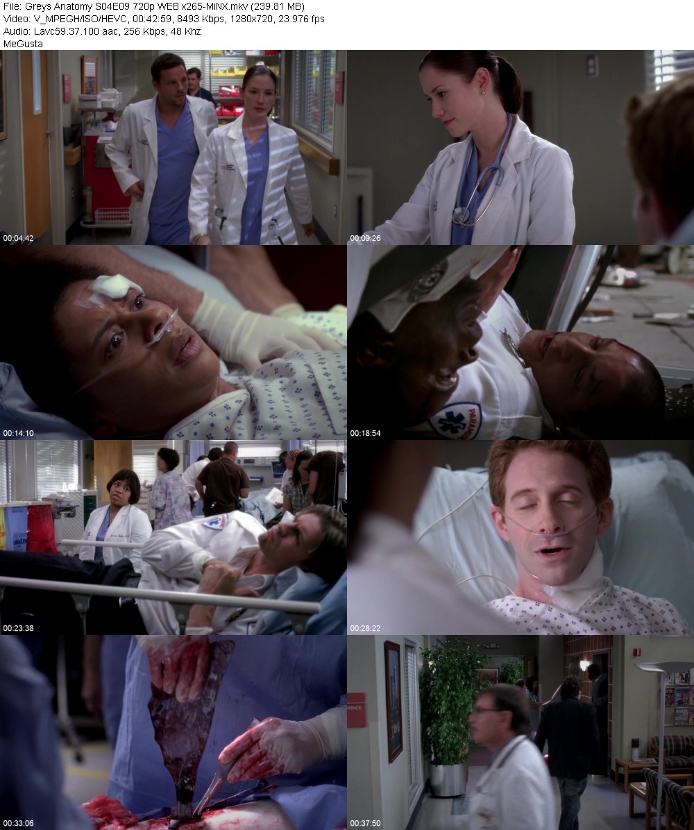 Greys Anatomy S04E09 720p WEB x265-MiNX