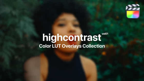 High Contrast Color - VideoHive 48175779