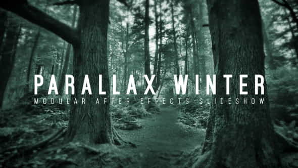 Parallax Winter - VideoHive 18013193