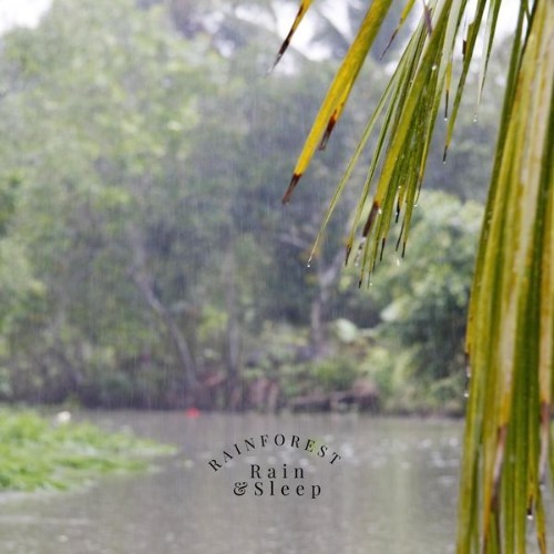 Rain & Sleep - Rainforest - 2021