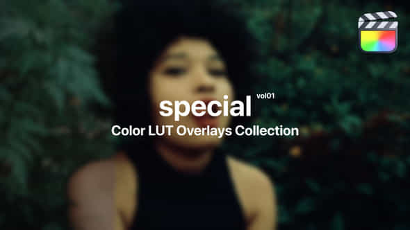 Special Color Presets - VideoHive 48290566