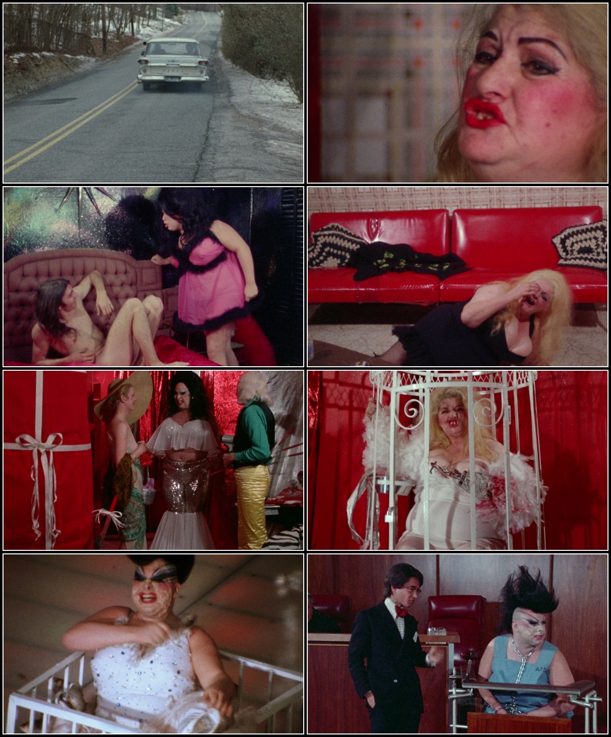 Female Trouble (1974) Criterion 1080p BluRay x265 HEVC FLAC-SARTRE AMI4gcKL_o