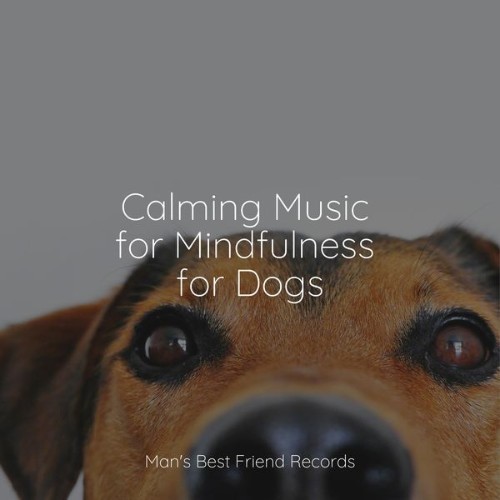 Sleep Music For Dogs - Calming Music for Mindfulness for Dogs - 2022