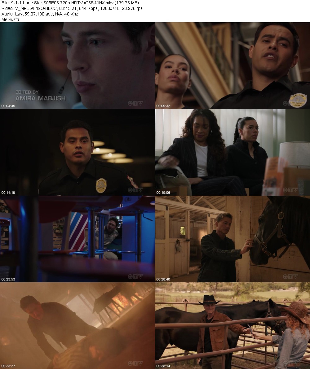 9-1-1 Lone Star S05E06 720p HDTV x265-MiNX