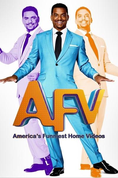 Americas Funniest Home Videos S31E16 720p HEVC x265-MeGusta