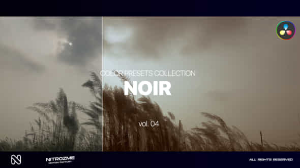 Noir Lut Vol 04 For Davinci Resolve - VideoHive 48999744