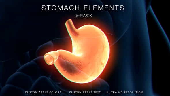 Stomach Elements - VideoHive 33200461
