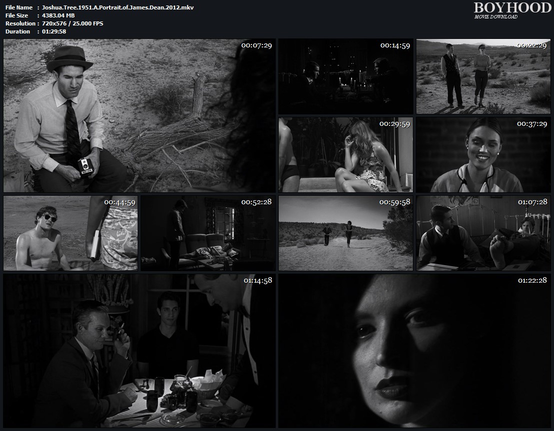 Joshua Tree, 1951: A Portrait of James Dean (2012)