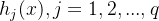 h_{j}(x),j=1,2,...,q