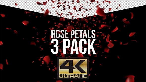 Rose Petals - 3 Pack - VideoHive 12524303