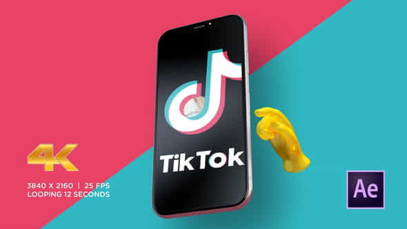 TikTok Promo - VideoHive 28202439