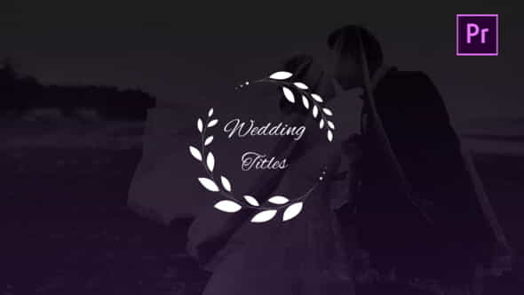 Wedding Titles - VideoHive 27001460