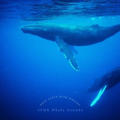 ASMR Whale Sounds - Deep Sleep with Whales - 2022