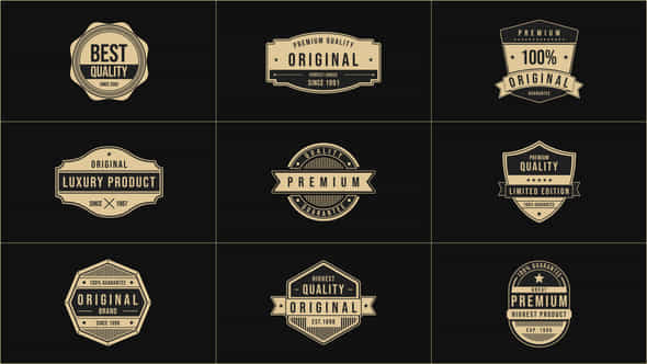 Badge and Vintage - VideoHive 39507257