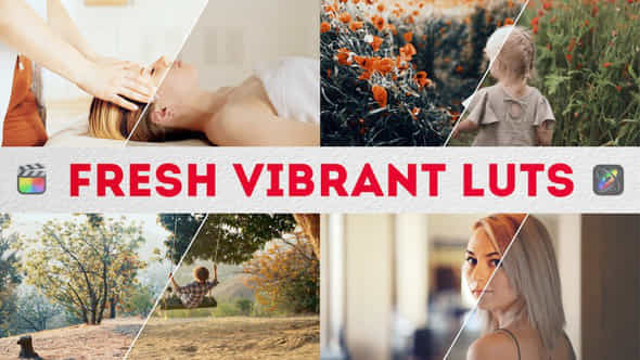 Fresh Vibrant Luts Fcpx Apple Motion - VideoHive 51721306