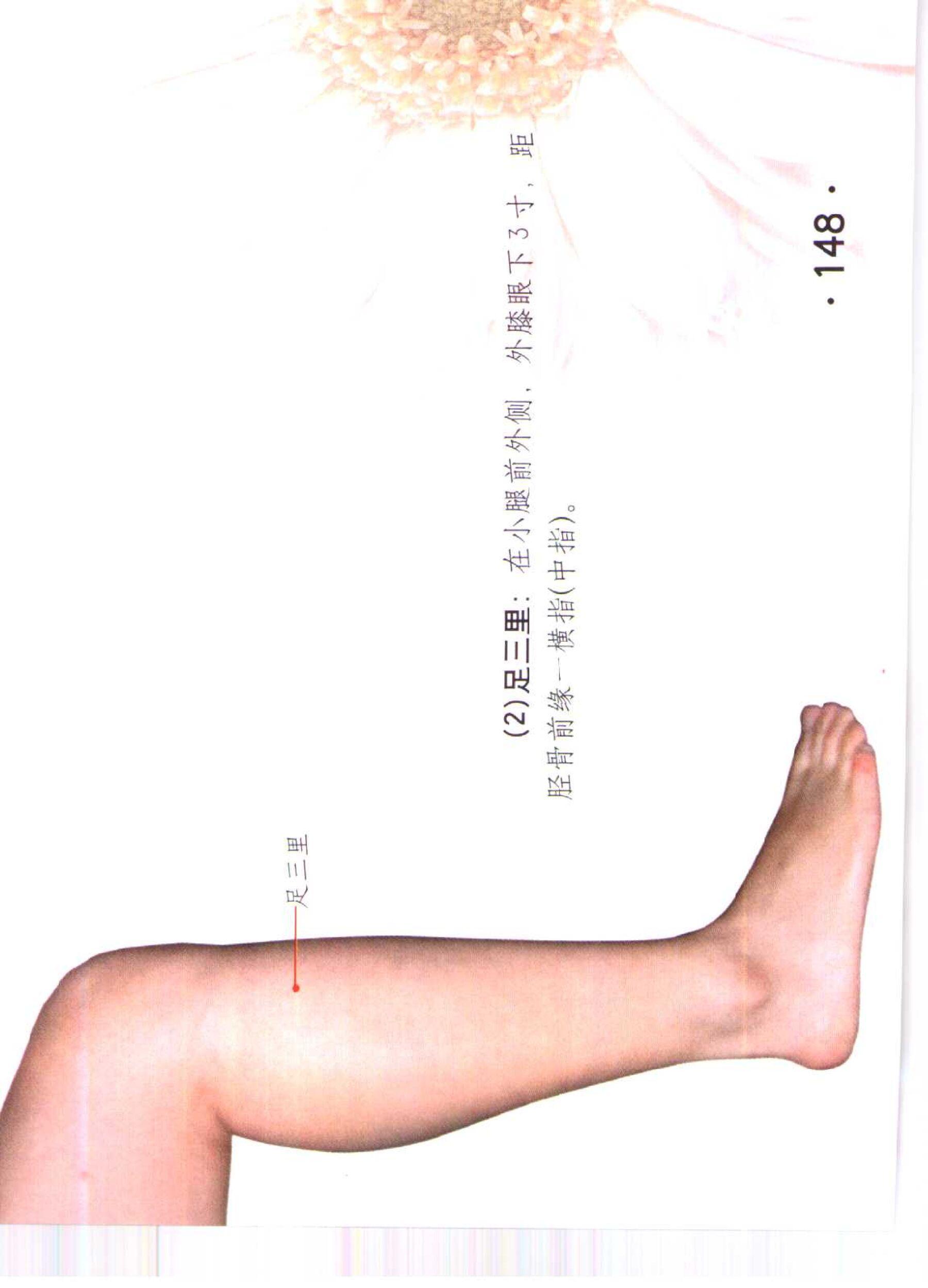 书籍扫描 乳房保健按摩彩色图谱(153)