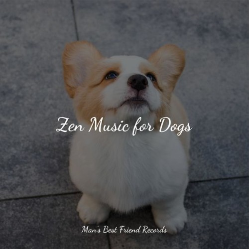 Pet Care Club - Zen Music for Dogs - 2022