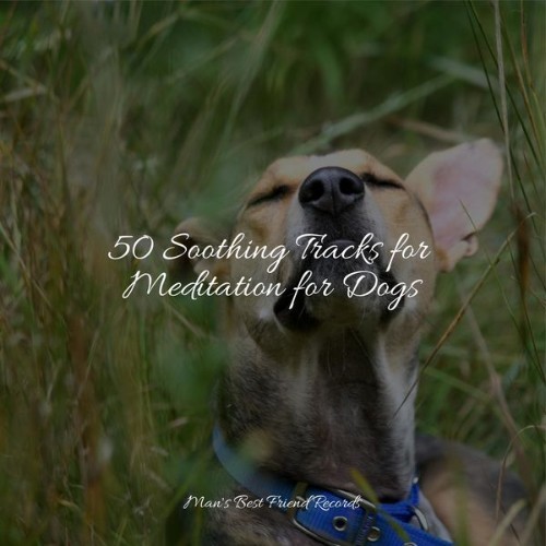 Music for Dog's Ears - 50 Soothing Tracks for Meditation for Dogs - 2022