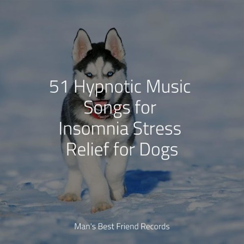 Dog Music - 51 Hypnotic Music Songs for Insomnia Stress Relief for Dogs - 2022