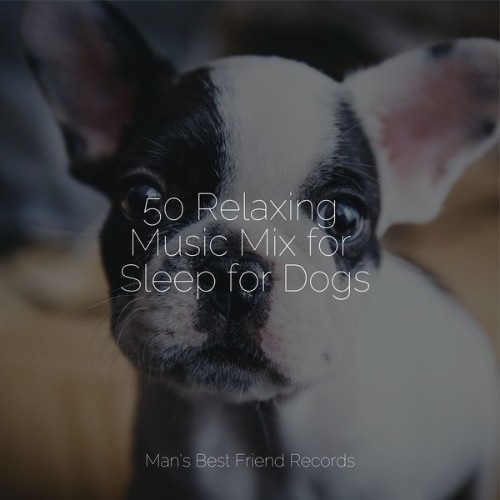 Jazz Music for Dogs - 50 Relaxing Music Mix for Sleep for Dogs - 2022