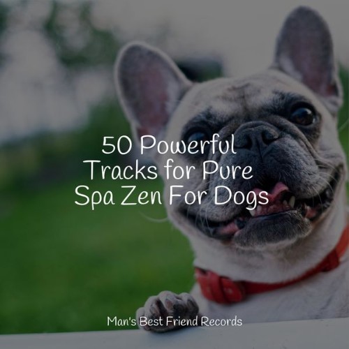 Music for Pets Library - 50 Powerful Tracks for Pure Spa Zen For Dogs - 2022