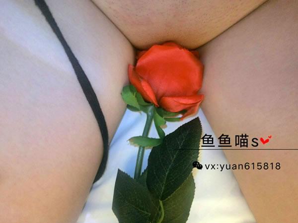 微博鱼鱼喵s价值100元玫瑰花露出套图(31)