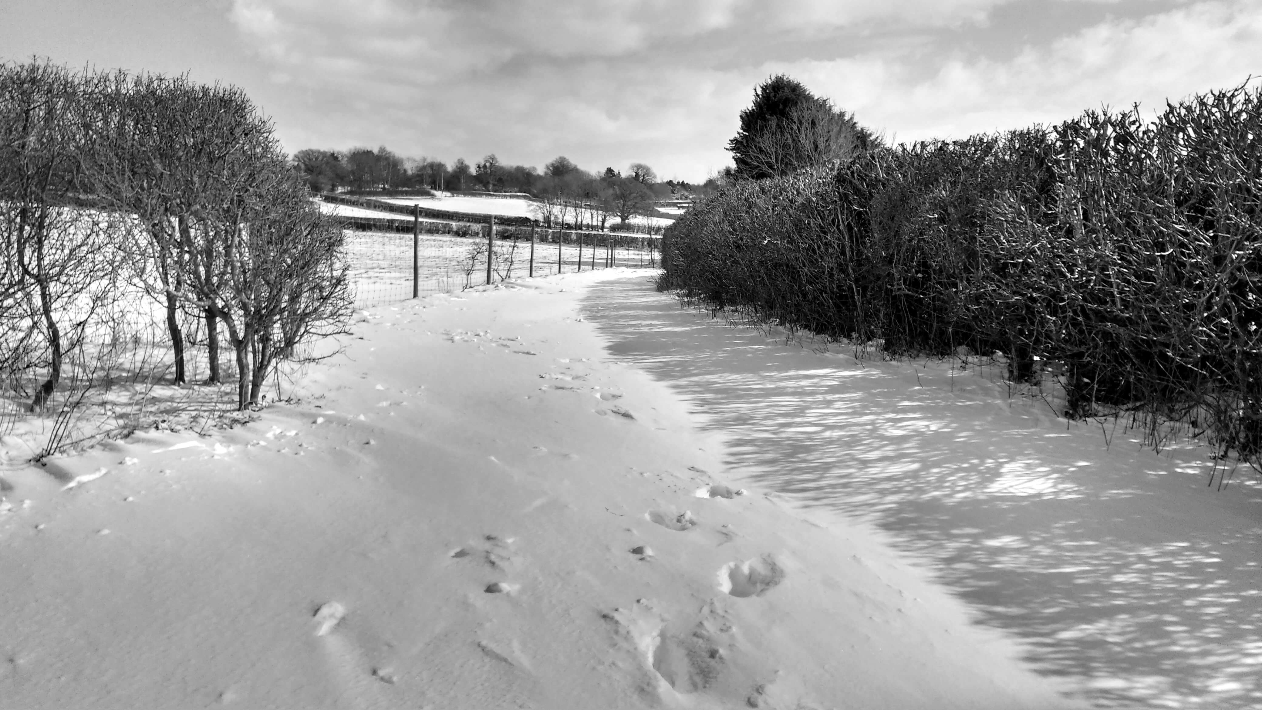 A country path covered in thick snow