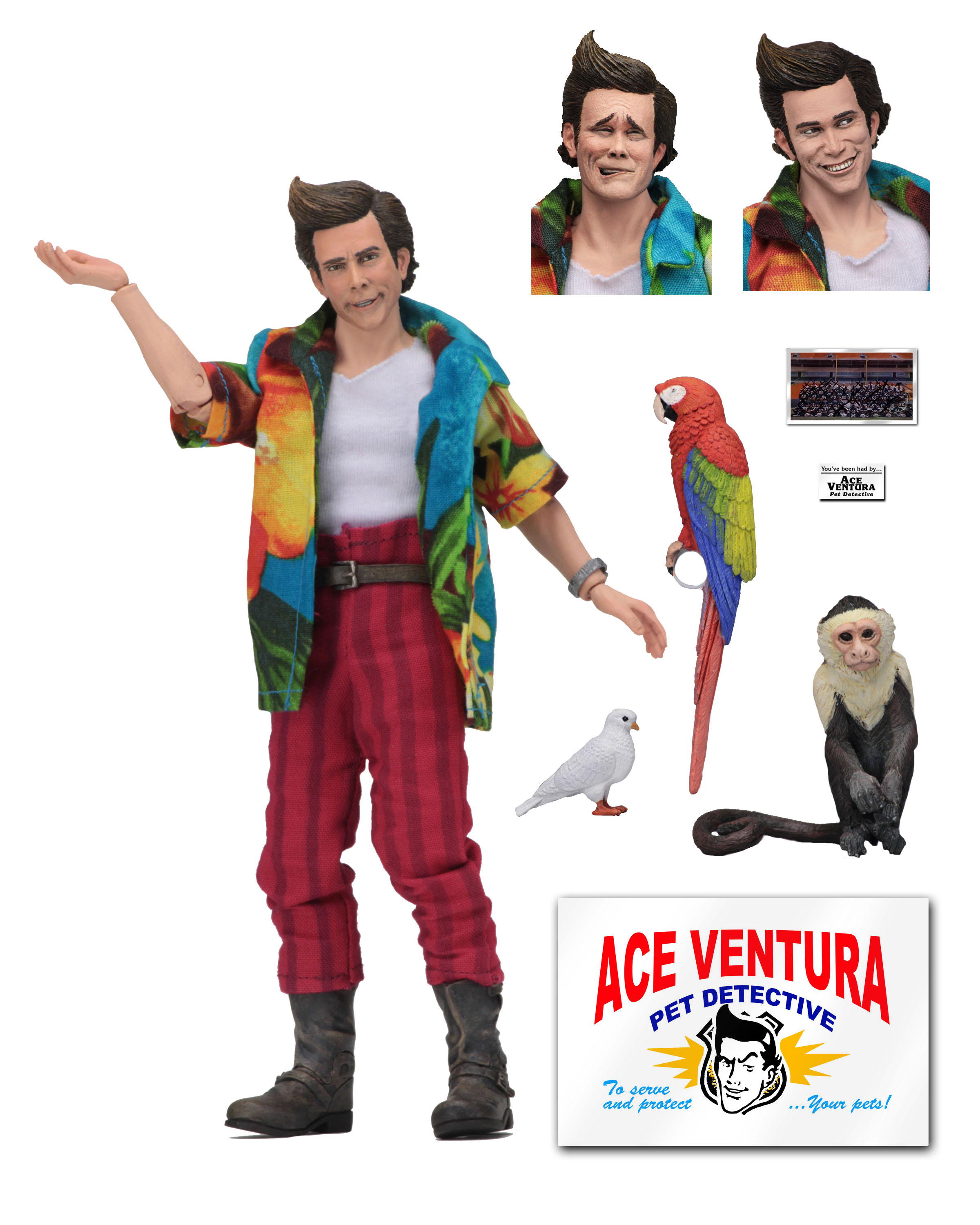 Ace Ventura (Neca) V65KJ9uk_o