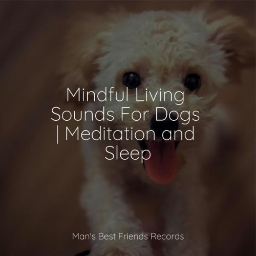 Calm Doggy - Mindful Living Sounds For Dogs  Meditation and Sleep - 2022