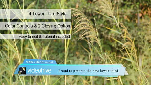 Lower Third - VideoHive 5768490