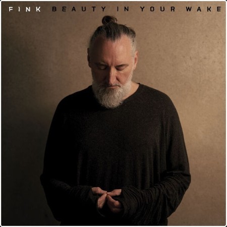 Fink - Beauty In Your Wake (2024) [24Bit-48kHz] FLAC  Ot4lveGQ_o