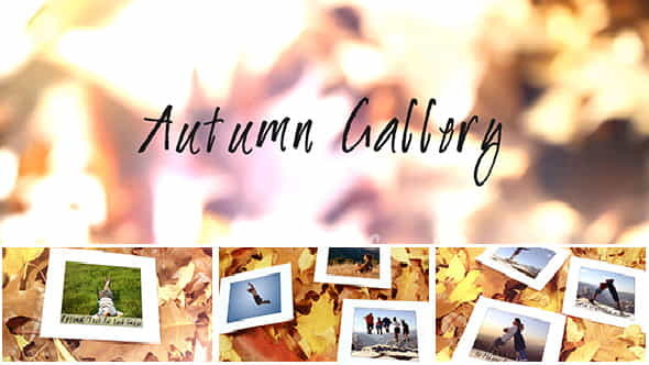 Autumn Gallery | - VideoHive 6000529