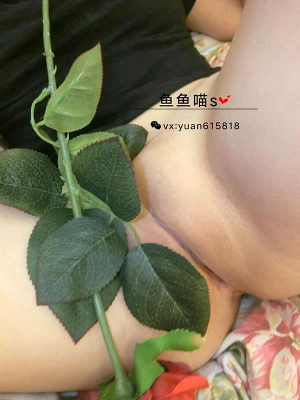 微博鱼鱼喵s价值100元玫瑰花露出套图(16)