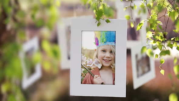 Photo Gallery on a Sunny - VideoHive 3209013