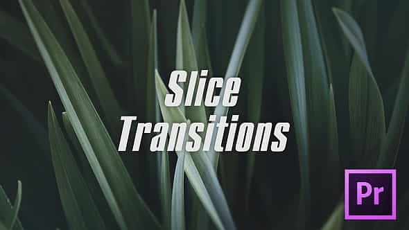 Slice Transitions - VideoHive 21529538