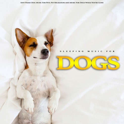 Dog Music - Sleeping Music For Dogs Soft Piano Music For Pets, Pet Relaxation and Music For Dogs ...