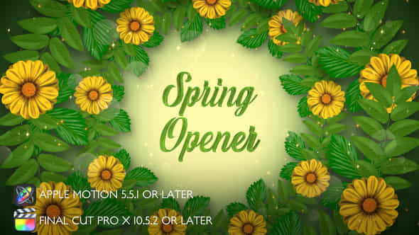 Spring Opener - VideoHive 44761612