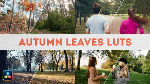 Autumn Leaves Luts Davinci Resolve - VideoHive 49768704
