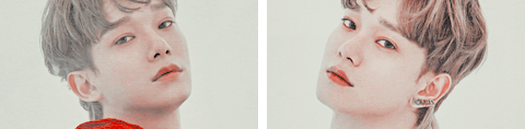 https://images2.imgbox.com/b0/8f/dxhl9xCe_o.png