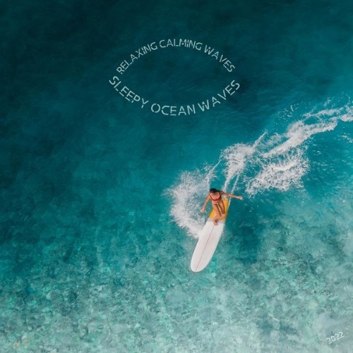Sleepy Ocean Waves - Relaxing Calming Waves - 2022