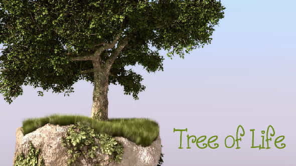 Tree of Life - VideoHive 266336