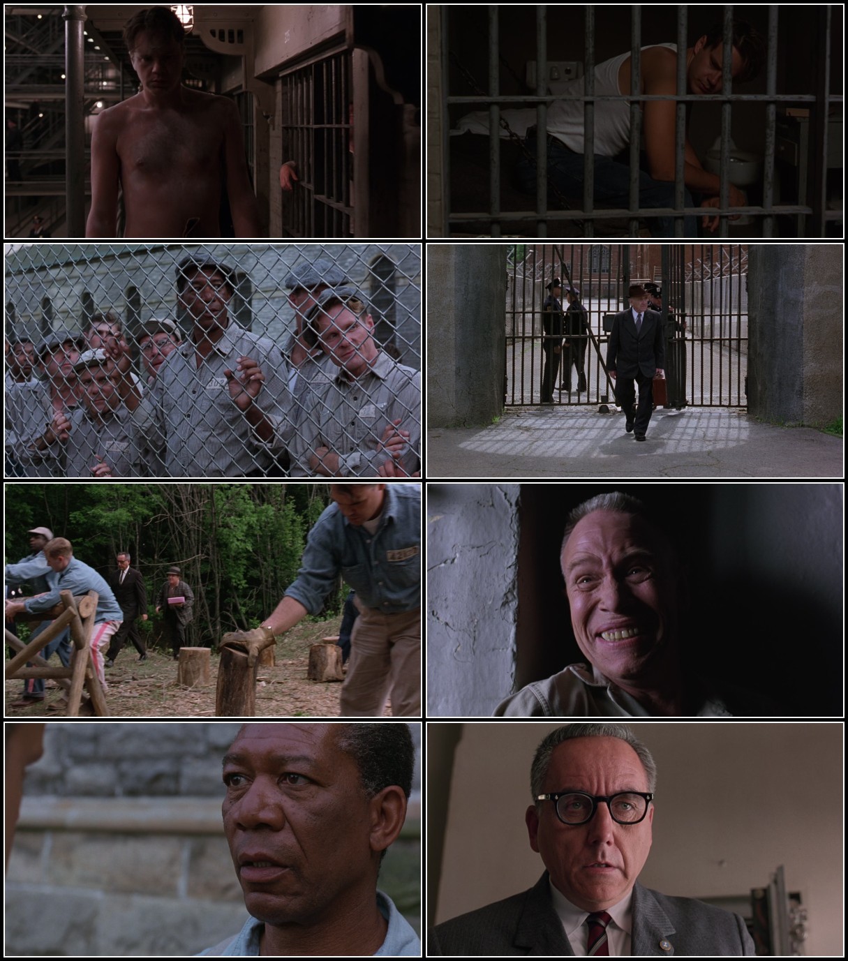 The Shawshank Redemption (1994) 1080p BluRay x265 AAC 5 1 -88 V3aCPohX_o